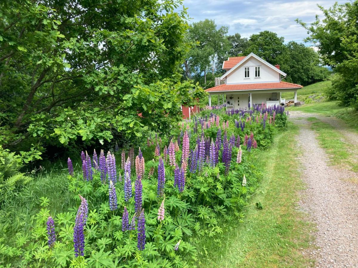 Villa Ny Flintarp Laholm Exterior foto